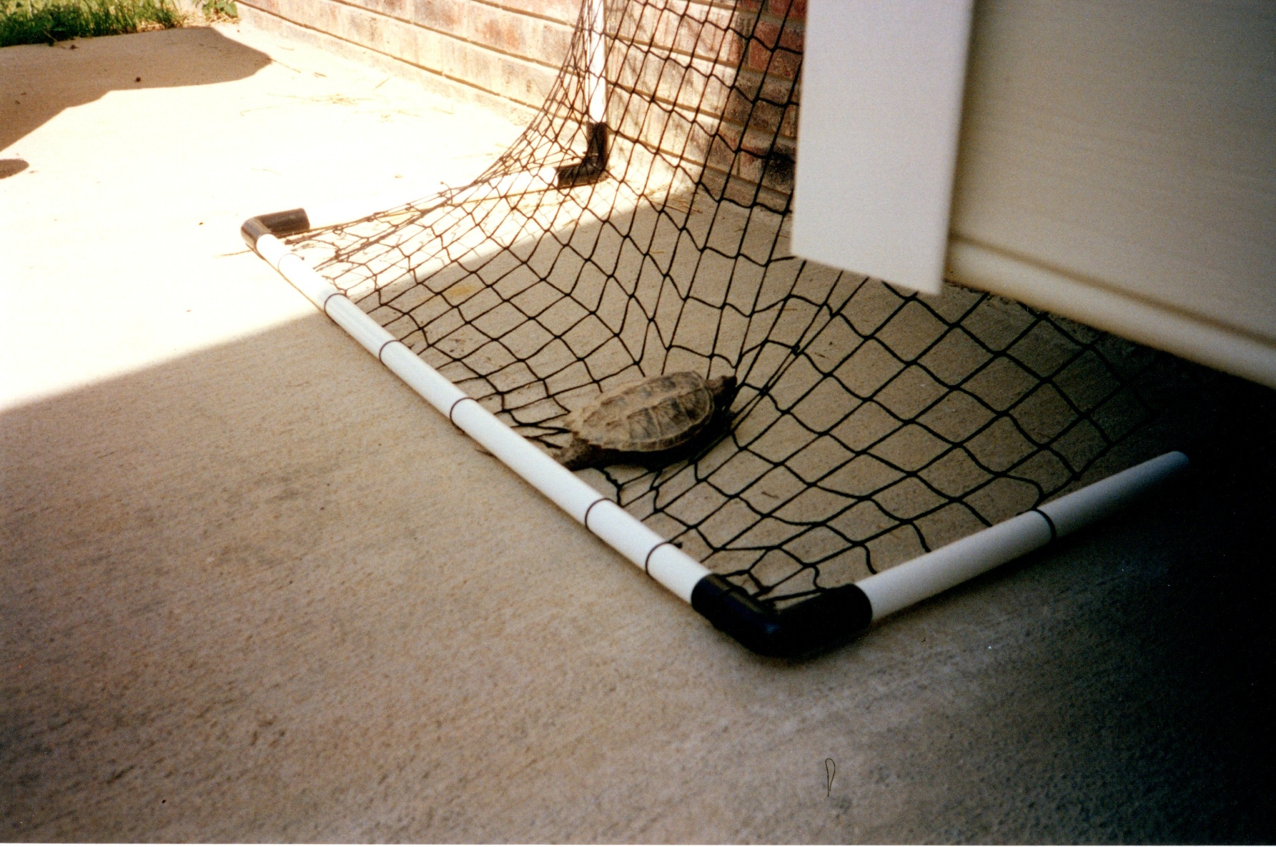 ./1997/08 - August/img05172020_193.jpg